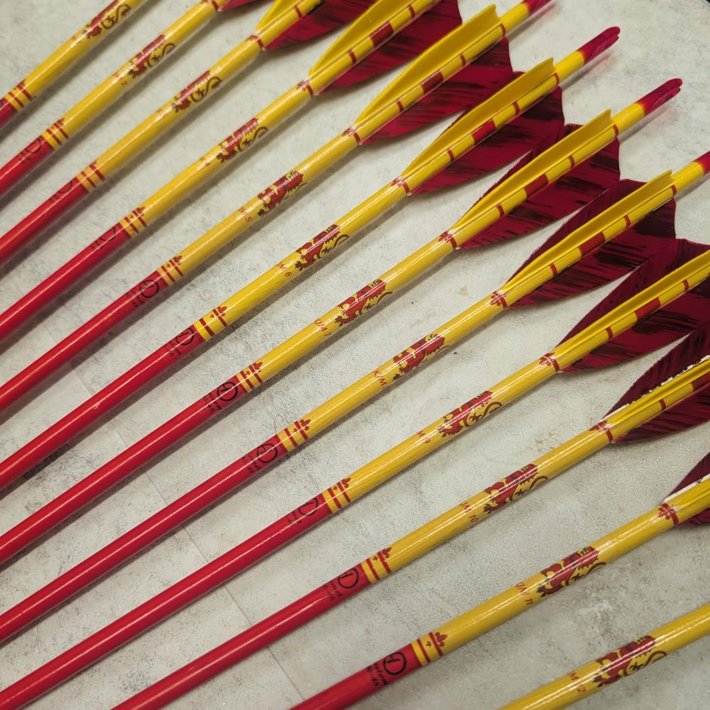 50 個新 3 インチフェザー矢矢矢シールドカット天然七面鳥 - Archery Target Face のレビューと価格